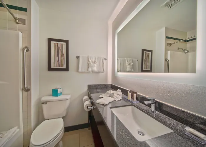 Wingate By Wyndham And Williamson Conference Center Hotel 3*