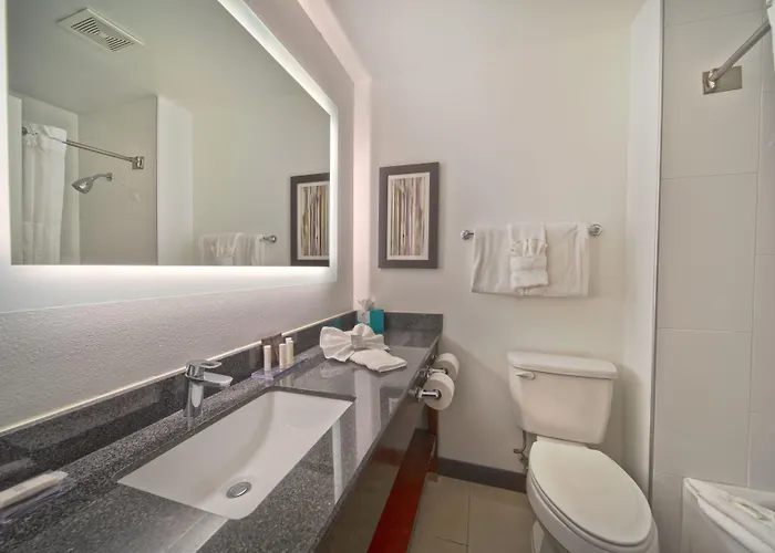Wingate By Wyndham And Williamson Conference Center 3*