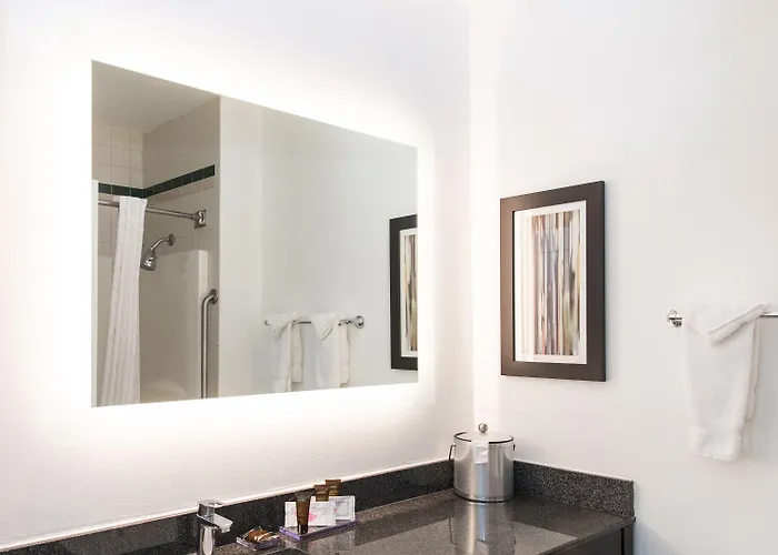 Wingate By Wyndham And Williamson Conference Center 3* Round Rock