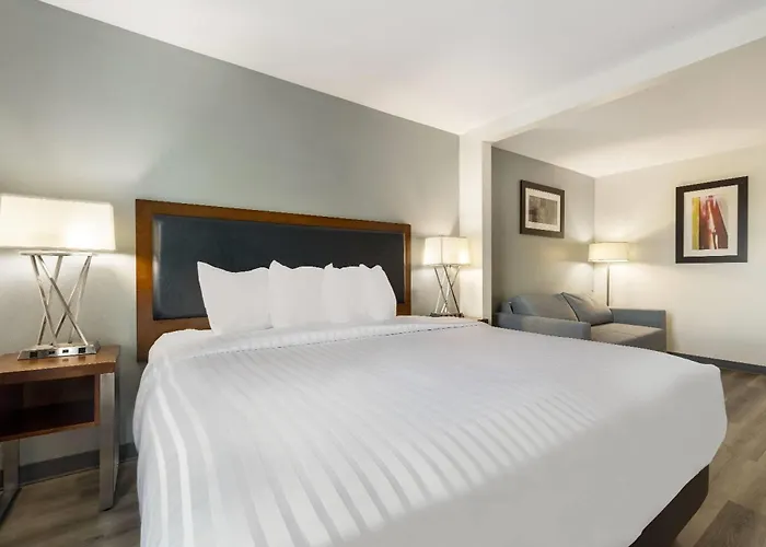 Hotel Wingate By Wyndham And Williamson Conference Center Round Rock