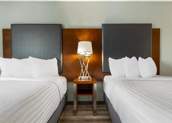Wingate By Wyndham And Williamson Conference Center 3*