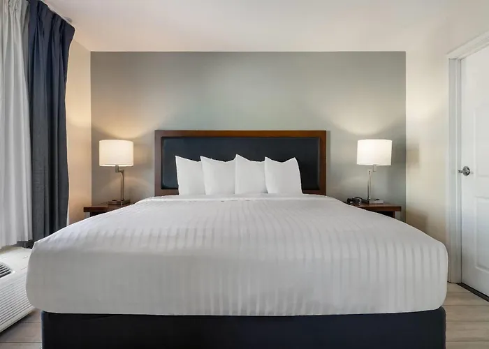 Wingate By Wyndham And Williamson Conference Center 3*