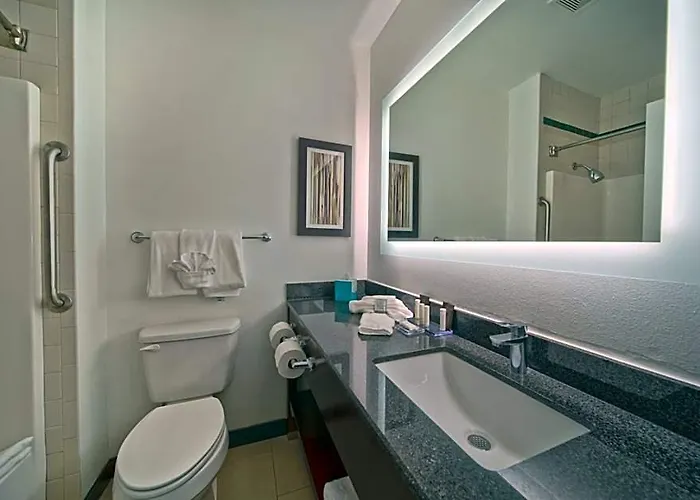 Wingate By Wyndham And Williamson Conference Center 3* Round Rock